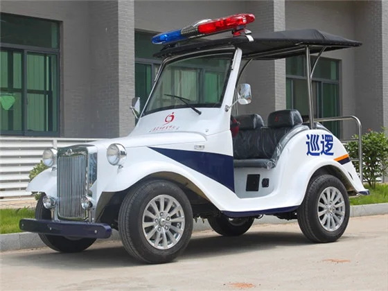 Are Electric Patrol Carts More Cost-Effective