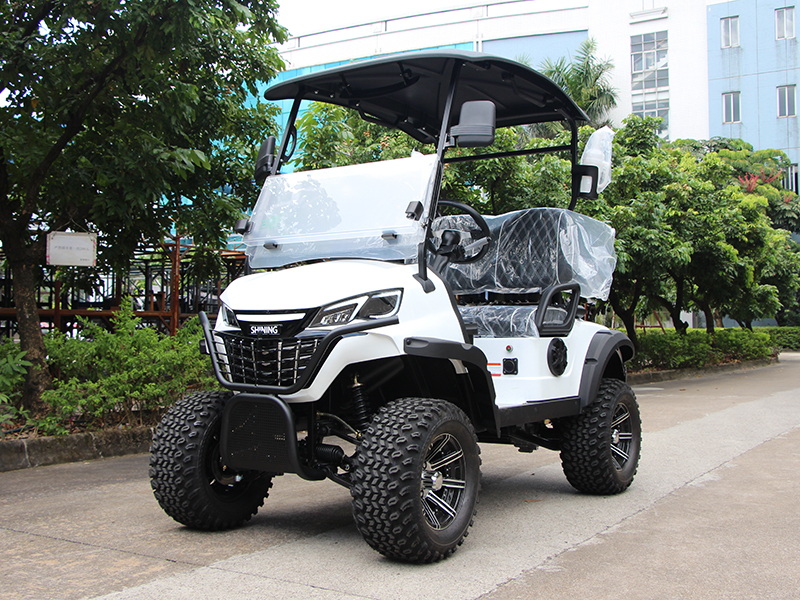 Electric Golf Vehicle