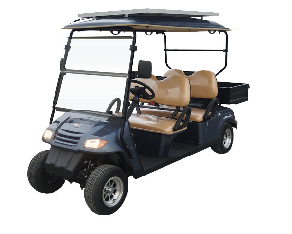 Electric Golf Cart_black