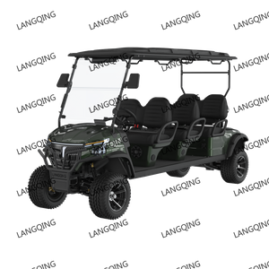 6 Seater Electric Vehicle+LQD063