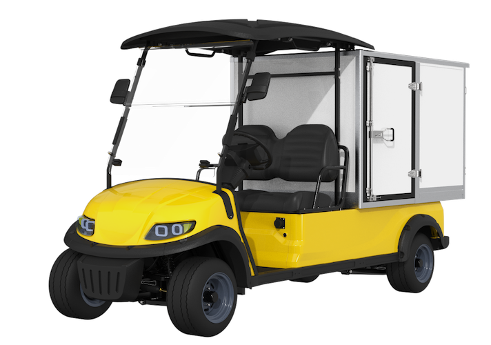 Electric Mini Truck LQSF020BM1