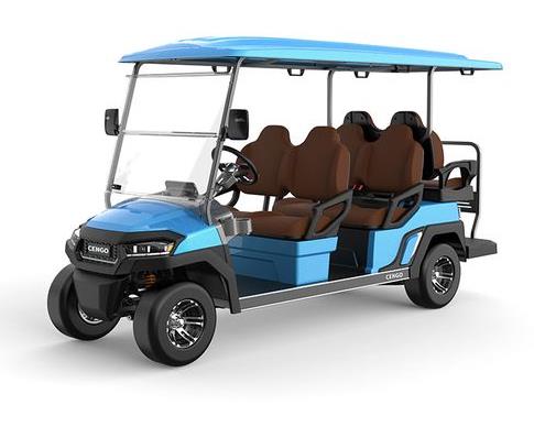 OEM Electric Sightseeing Cart