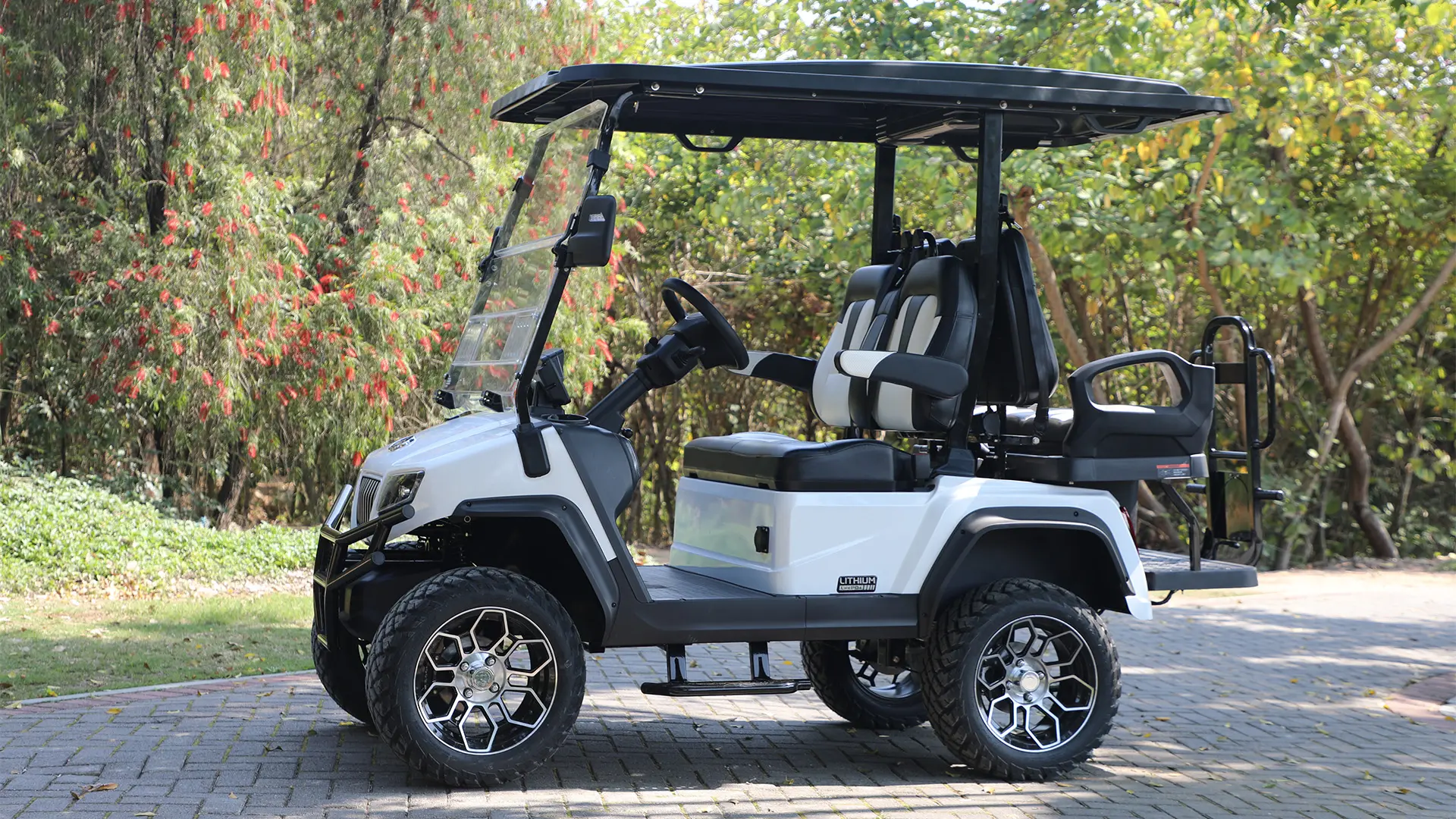 Electric Golf Cart 