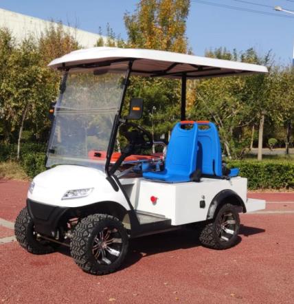 Can Electric Ambulance Carts Be Adapted for Use in Search and Rescue Missions