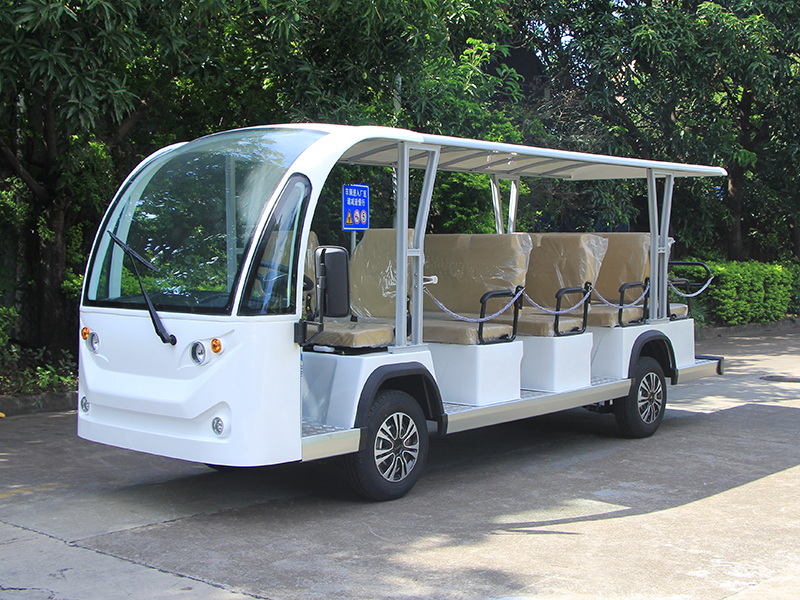 Personalized Electric Sightseeing Carts 
