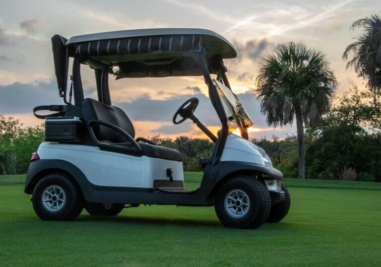 Eco-Friendly Electric Golf Cart