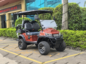 2+2 Seats Electric Vehicle+LQD022A+2