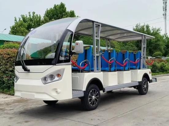 Custom Electric Sightseeing Cart