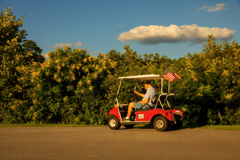 Electric Golf Carts as Eco-Friendly Alternatives