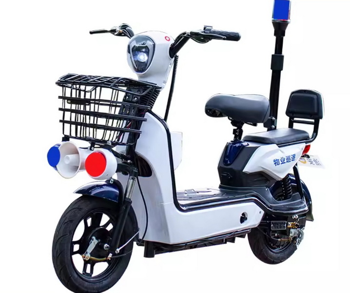 Patrol Carts for Disabled Personnel 
