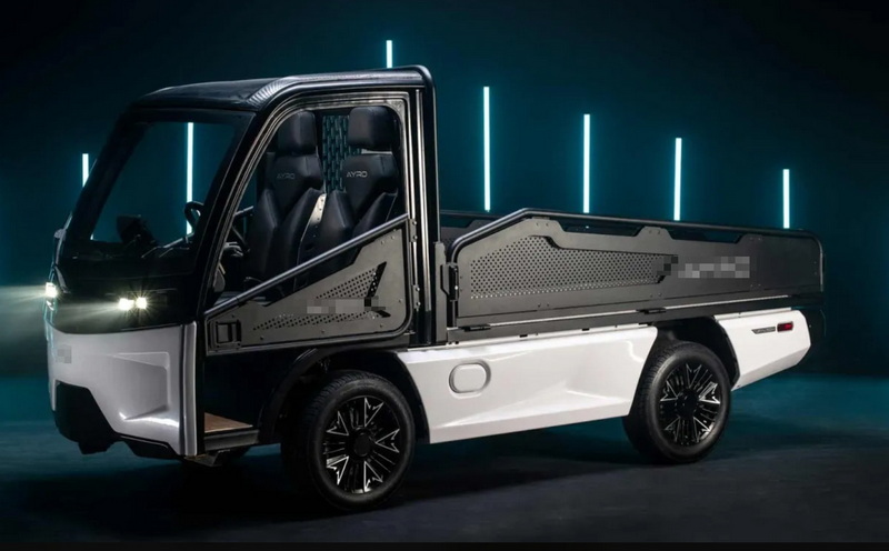 How Do Electric Mini Truck Builders Customize Vehicles for Business Use