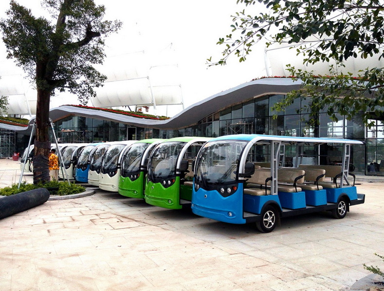 Electric Sightseeing Carts Vs Walking Tours