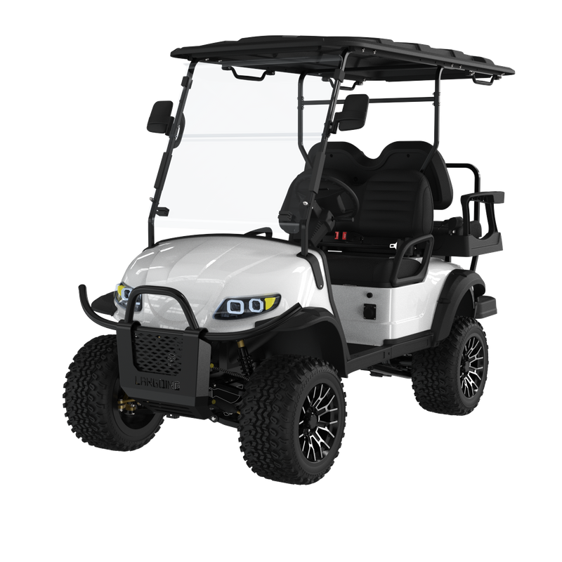 Electric Golf Car 4 Seater+LQD020A+2