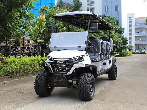 Electric Golf Cart