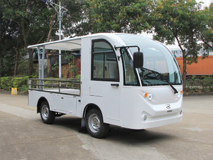 Electric Mini Truck