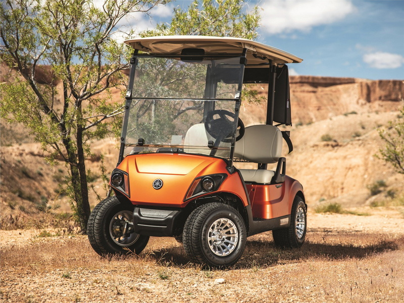 Electric Golf Cart _4