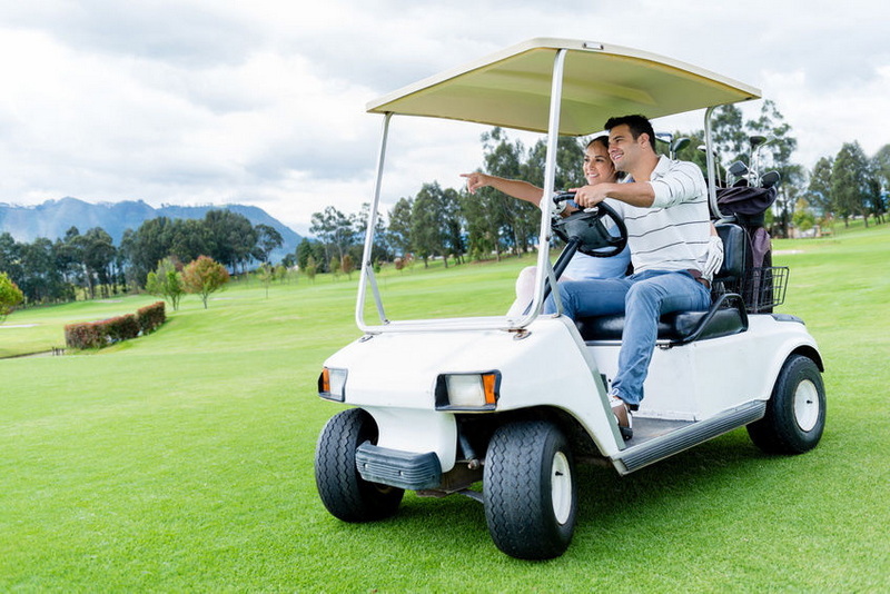 Electric Golf Cart Motor Power