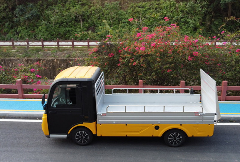 Electric Truck Dealer