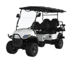 Electric Golf Carts 6 Person LQD040A+2