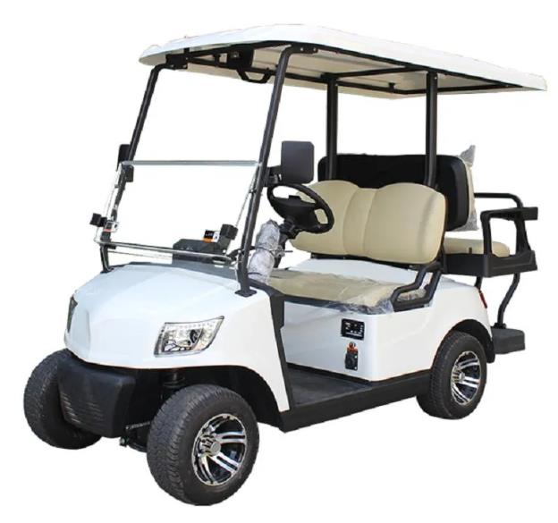 China Electric Golf Cart 1