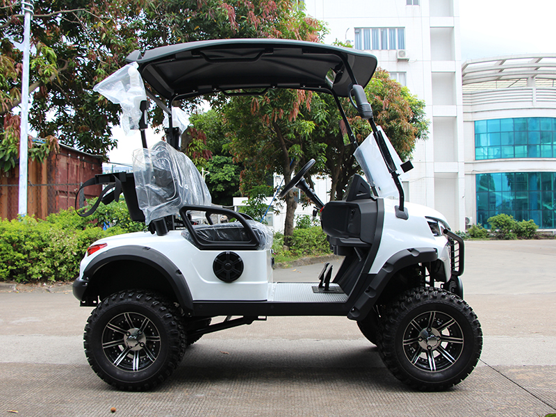 Top 10 Electric Golf Carts Manufacturers in China