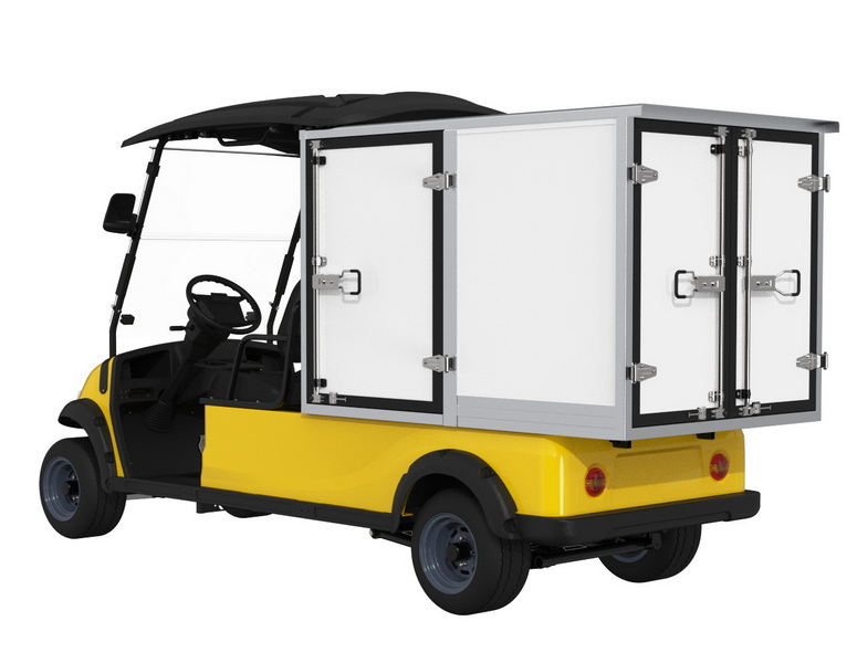 Battery Operated Mini Pickups