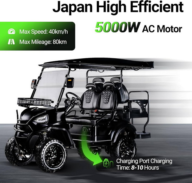 Electric Golf Cart _JAPAN
