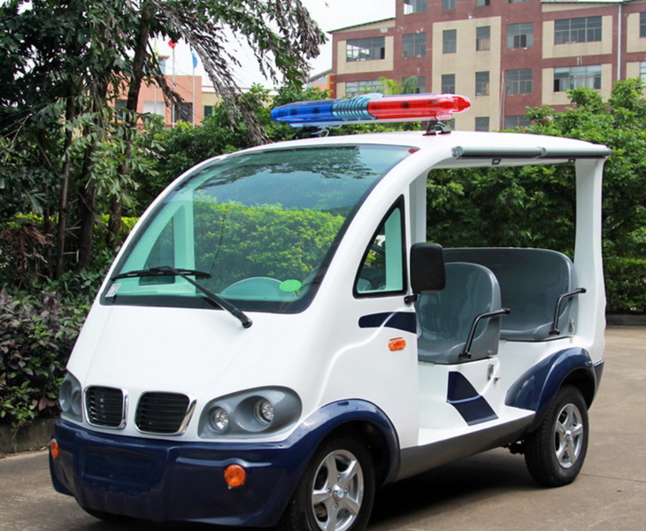 Custom Electric Patrol Units