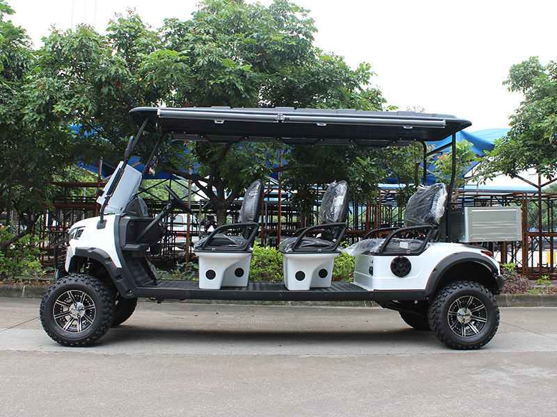 Personalized Golf Carts
