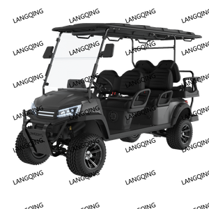 6 seater electric golf cart+LQD042+2