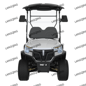 Electric Golf Cart 2 Seater+LQD023