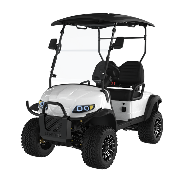 Electric Golf Carts 2 Person+LQD020A