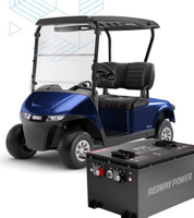 //inrorwxhqqpllp5m.ldycdn.com/cloud/lpBppKiklnSRrlqkmkpjjq/OEM-Electric-Sightseeing-Cart-Battery.jpg