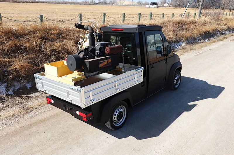 Buy Personalized Electric Mini Truck