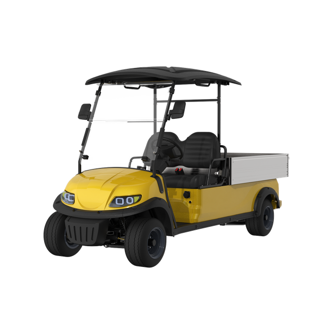 2 Seats Electric Mini Truck+LQSF020B