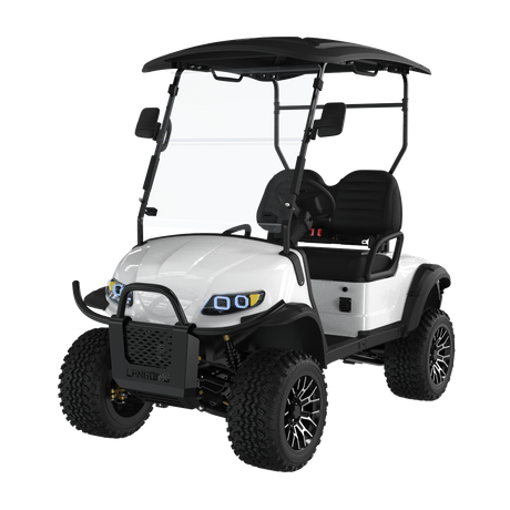 Electric Golf Cart 2 Seater+LQD020A