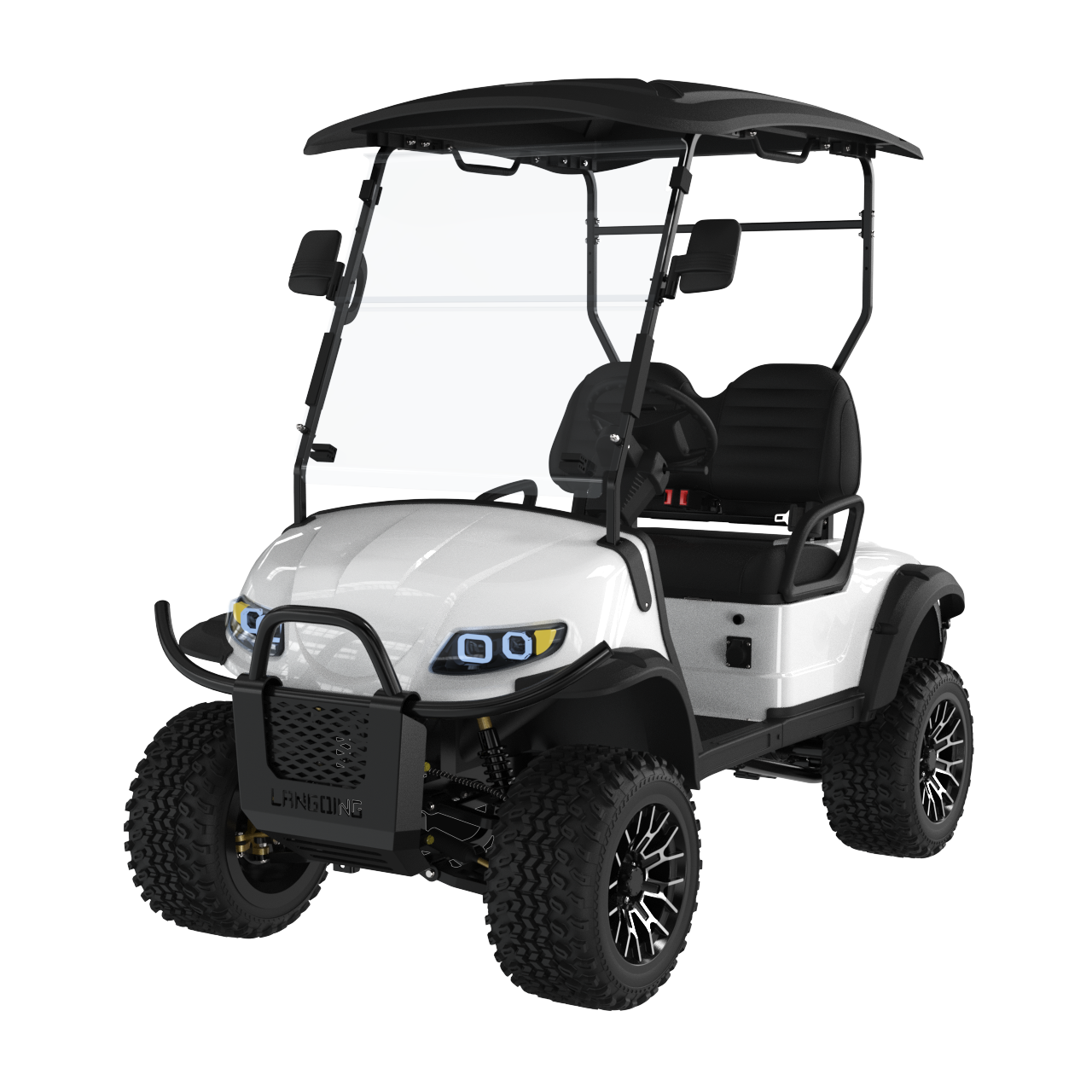 Electric Golf Cart 2 Seater+LQD020A