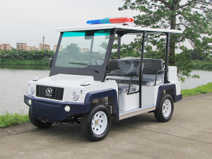 Electric Patrol Cart