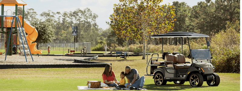 Electric Golf Carts and the Environment
