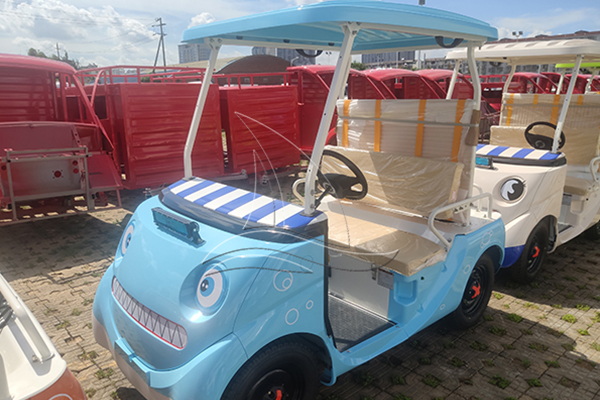 What Features Can Be Added to a Custom Electric Sightseeing Cart