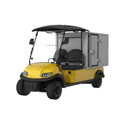 2 Seater Electric Mini Truck with Refrigerated Function