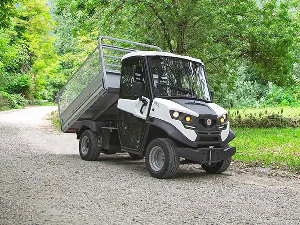 Electric Mini Trucks